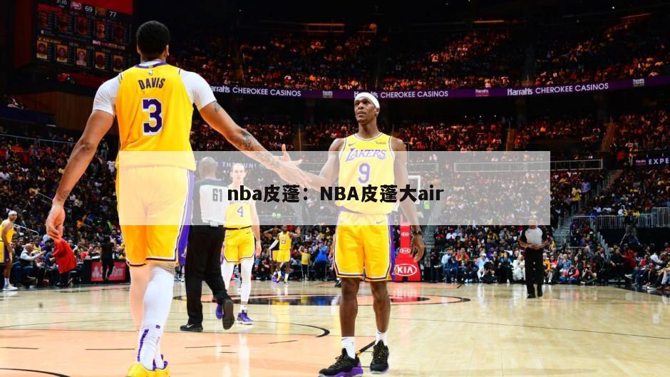 nba皮蓬：NBA皮蓬大air