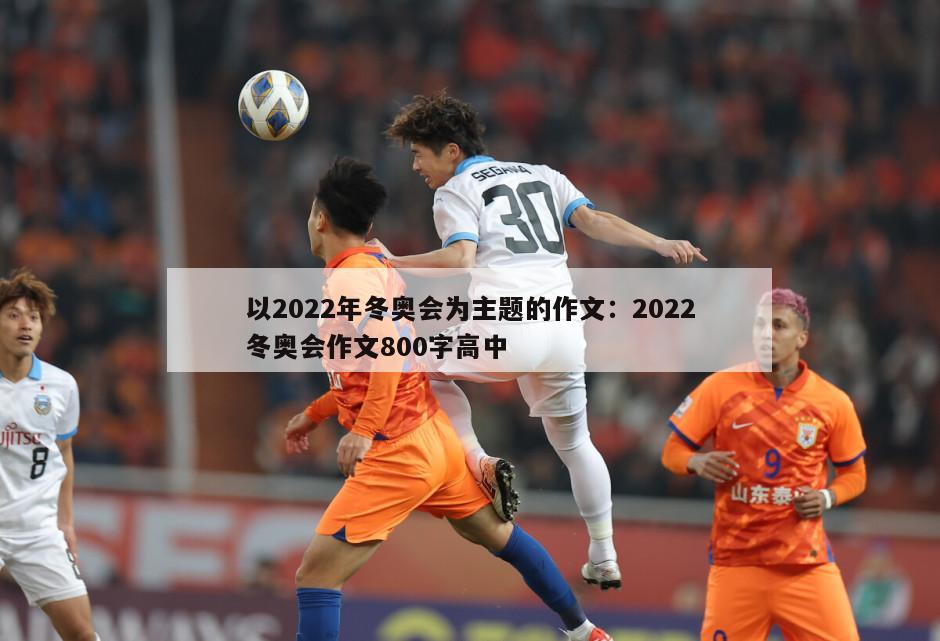 以2022年冬奧會(huì )為主題的作文：2022冬奧會(huì )作文800字高中