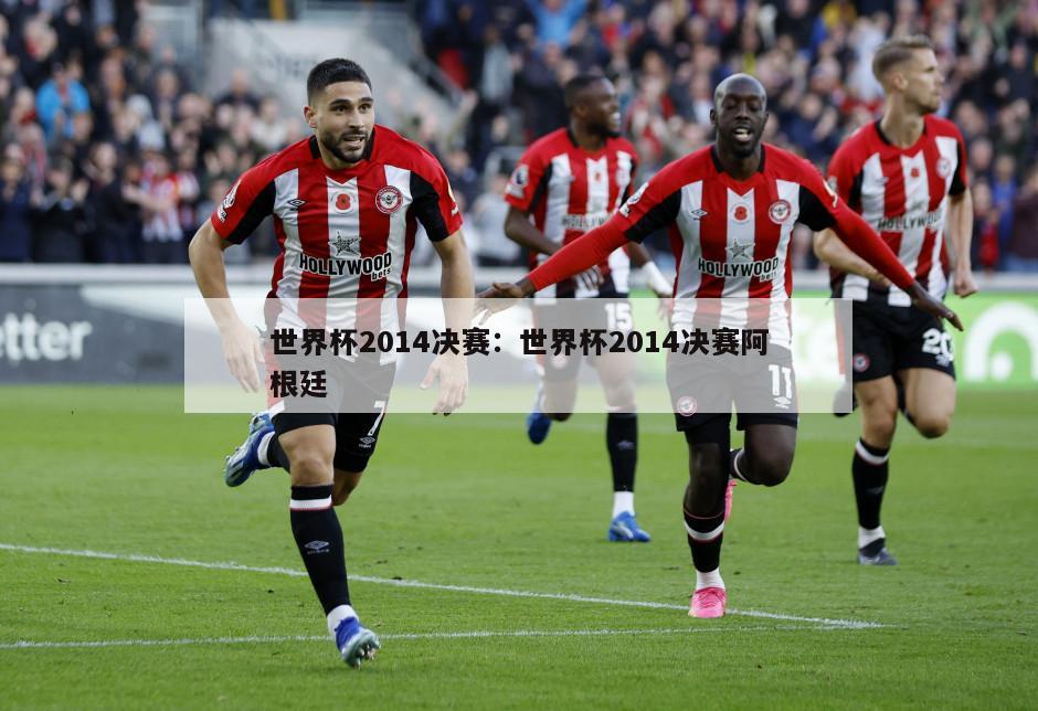 世界杯2014決賽：世界杯2014決賽阿根廷