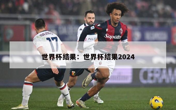 世界杯結果：世界杯結果2024